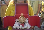 XII Piesza Pielgrzymka Diecezji Świdnickiej na Jasną Górę - 09.08.2015.