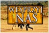 Bycie wolontariuszem, to przede wszystkim obecno.
